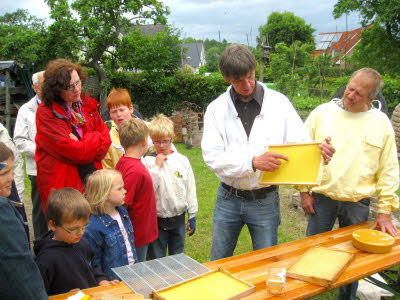 2 Bienenkunde zur Einleitung